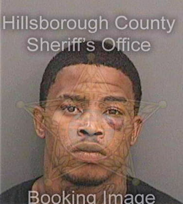Johnson Corey - Hillsborough County, FL 