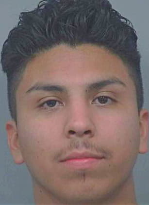Ramirez Fernando - Gwinnett County, GA 