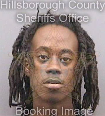 Dantzler Jerrod - Hillsborough County, FL 
