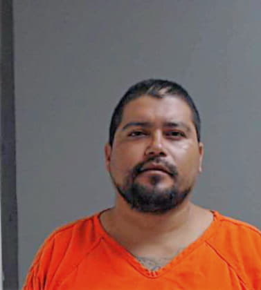 Alvarez Luis - Hidalgo County, TX 