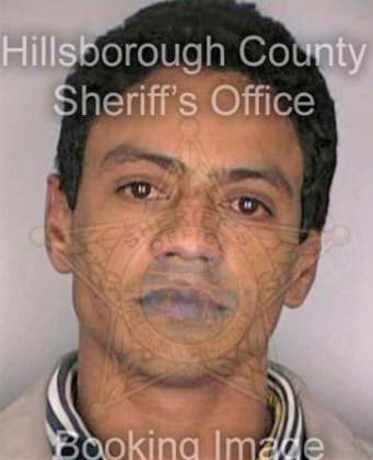 Rodriguezbenejan Roberto - Hillsborough County, FL 