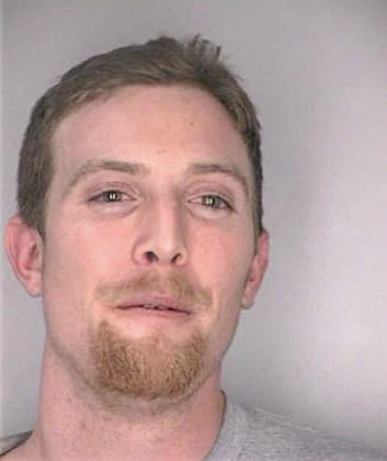 Stevens Daniel - Hillsborough County, FL 