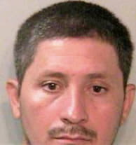 Mejia-Orellana Eduardo - Leon County, FL 