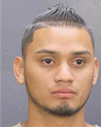 Hernandez-Gonzalez Erik - Broward County, FL 