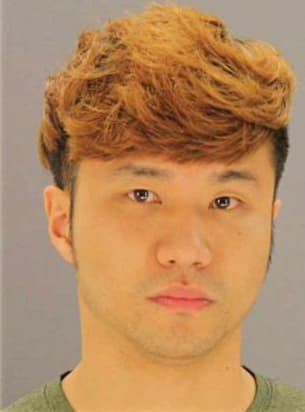 Kim Ho - Dallas County, TX 
