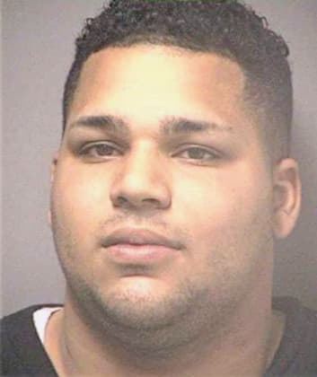 Garcia Raphael - Hillsborough County, FL 