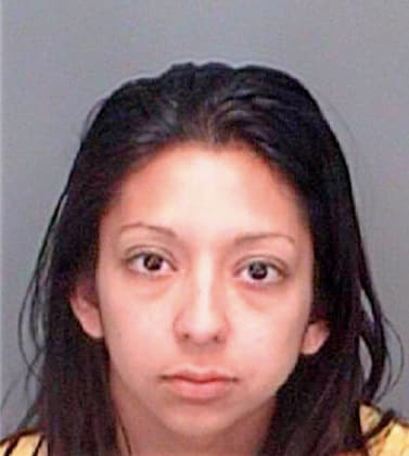 Marticorena Raquel - Pinellas County, FL 