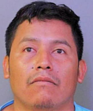Ramirez Sain - Polk County, FL 