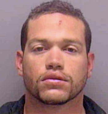 Domenech Antonio - Lee County, FL 