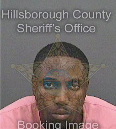 Williams Denzel - Hillsborough County, FL 