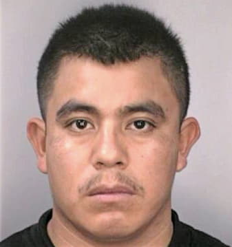 Hernandez Jose - Hillsborough County, FL 