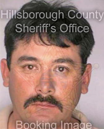 Castillo Luis - Hillsborough County, FL 