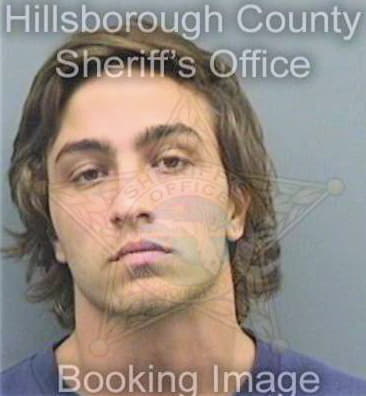 Lardino Nicholas - Hillsborough County, FL 