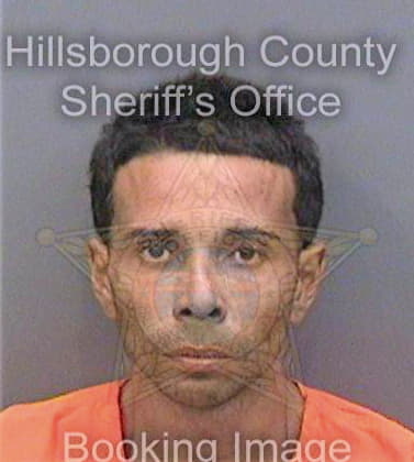 Sanchezcolon Omar - Hillsborough County, FL 