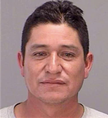 Alvarado Pedro - Brazos County, TX 