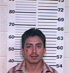 Gutierrez Sergio - Hidalgo County, TX 