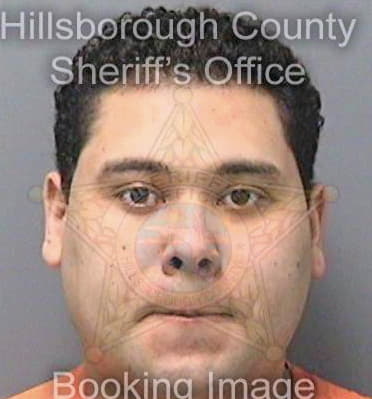Aponte Felix - Hillsborough County, FL 