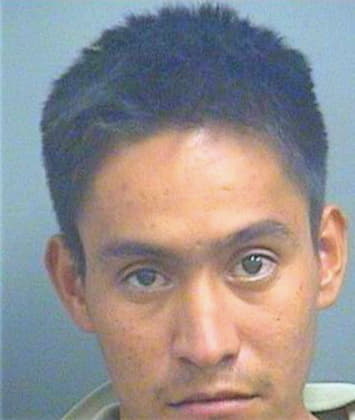 Picazo Miguel - PalmBeach County, FL 