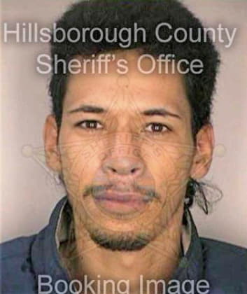 Viruet Noel - Hillsborough County, FL 