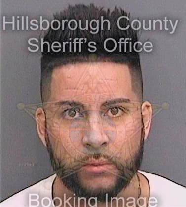 Hall James - Hillsborough County, FL 
