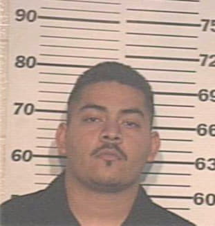 Gonzalez Jesus - Hidalgo County, TX 