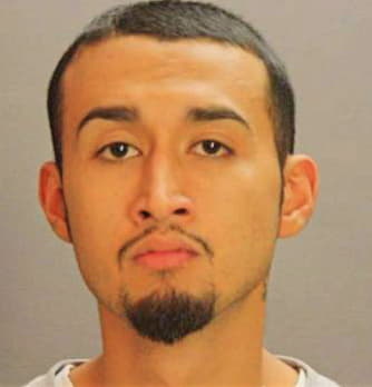 Pineda Julio - Dallas County, TX 