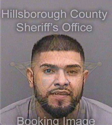 Hernandez Noe - Hillsborough County, FL 