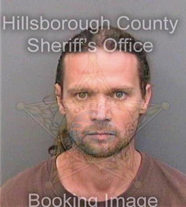 Robinson Timothy - Hillsborough County, FL 