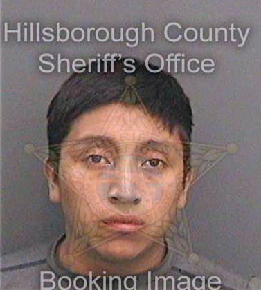 Itzieptebaln Fernando - Hillsborough County, FL 