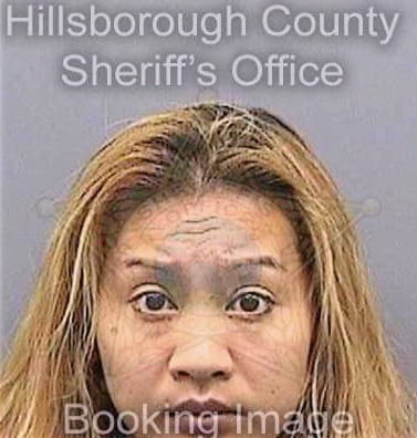 Mey Savy - Hillsborough County, FL 