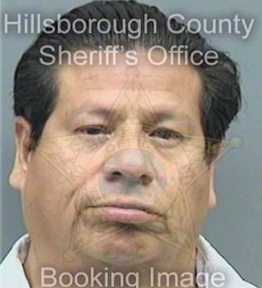 Lunaalonzo Luis - Hillsborough County, FL 