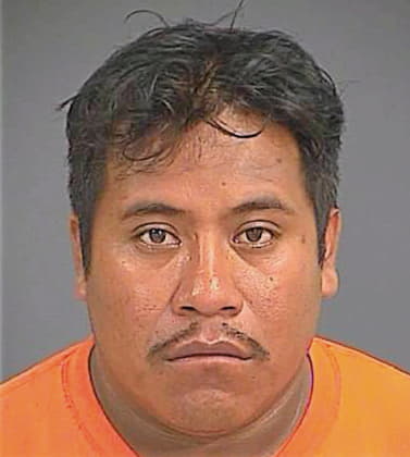 Ortiz Marcelo - Charleston County, SC 