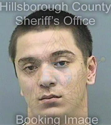Silhol Michael - Hillsborough County, FL 