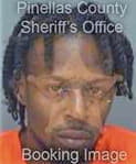 Florence Rameke - Pinellas County, FL 