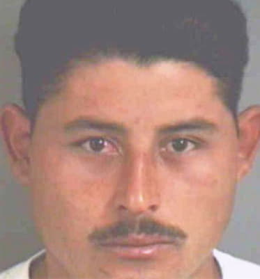 Garay Raul - Polk County, FL 