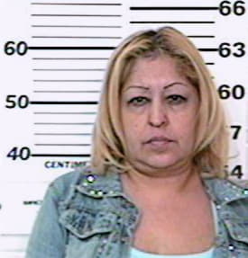 Ruedas Rosa - Hidalgo County, TX 