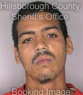 Molina Ruben - Hillsborough County, FL 