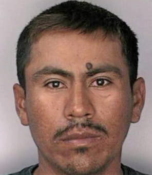 Rosalesalonso Hever - Hillsborough County, FL 