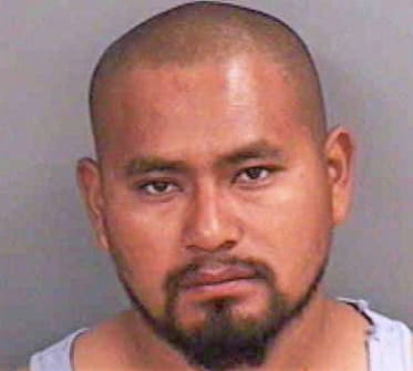Martinez Adolfo - Collier County, FL 