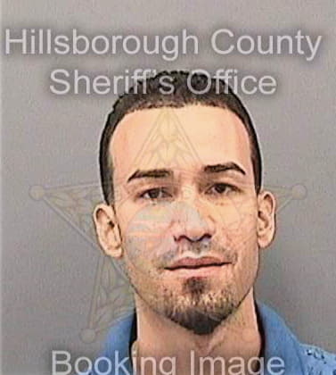 Ramosortiz Joel - Hillsborough County, FL 