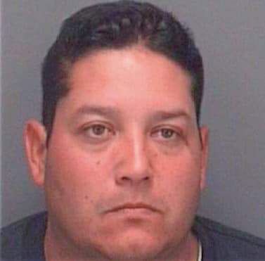 Vasquez Michael - Pinellas County, FL 