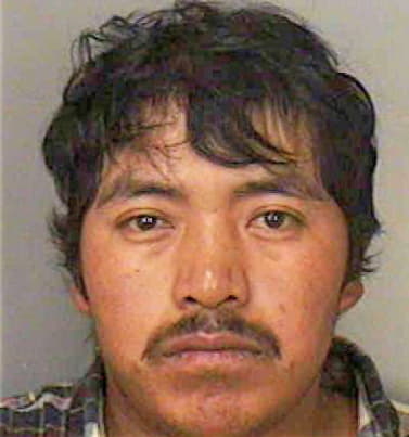 Olvera-Hernandez Nicolas - Polk County, FL 