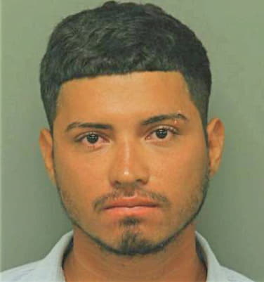 Flores-Palacios Saul - Wake County, NC 