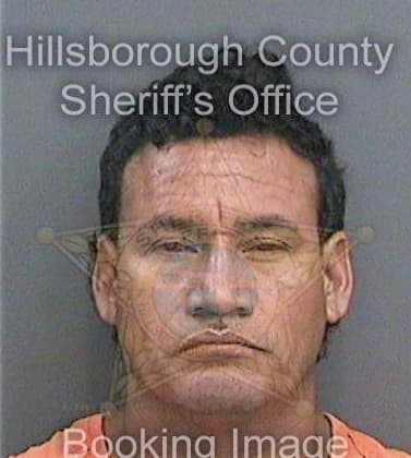 Espinozasantos Anibal - Hillsborough County, FL 