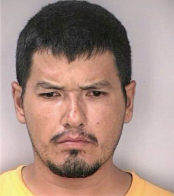 Venegasocampo Francesco - Hillsborough County, FL 