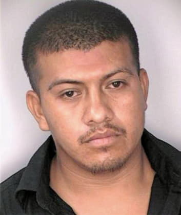 Lopez Jose - Hillsborough County, FL 