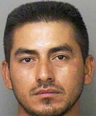 Castro Meliton - Polk County, FL 