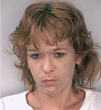 Shears Stacey - Hillsborough County, FL 