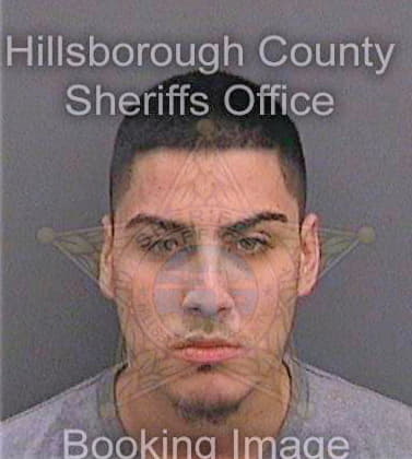 Espinal Andy - Hillsborough County, FL 