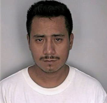 Miguelflores Irving - Hillsborough County, FL 